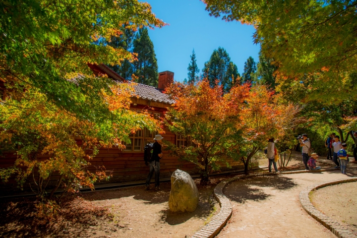 福壽山楓紅103/11/1-d800+24-120mm