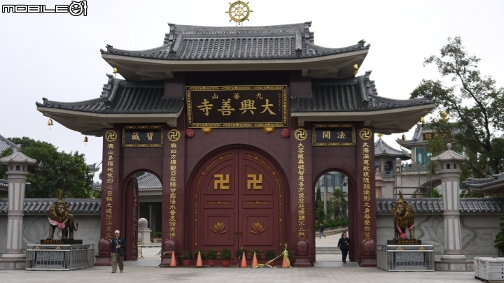 苗栗九湖賞杭菊.九華山禮佛散步遊
