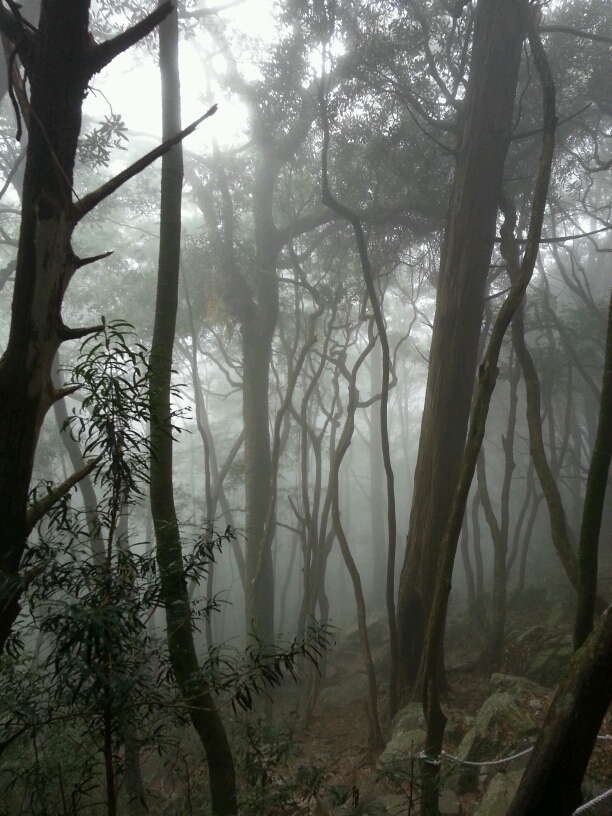 360度的視野和刺激……鳶嘴山