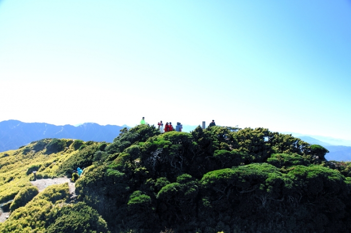 純分享~ 武陵銀杏、福壽楓紅、合歡山景