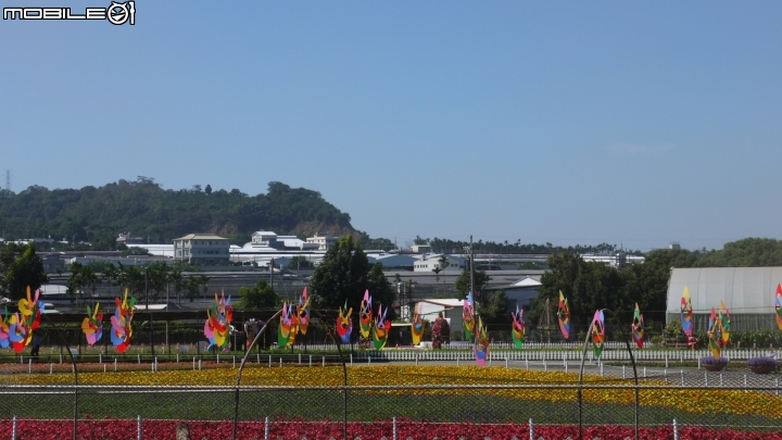 新社花海清晰遊
