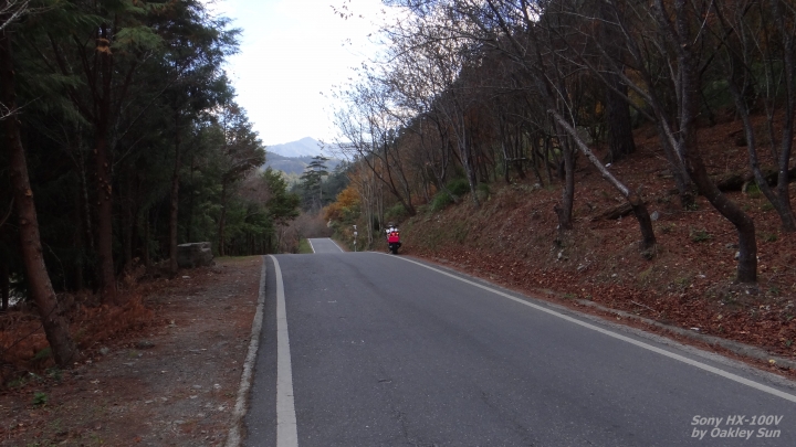 On the road again  2014/11/24 初冬的武陵