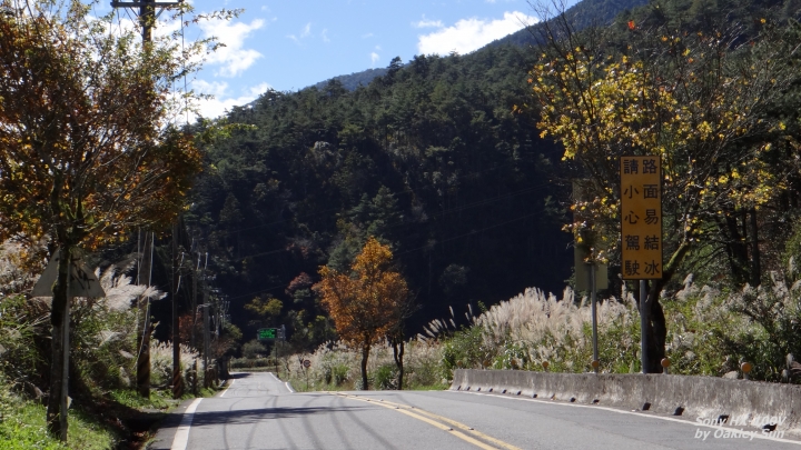 On the road again  2014/11/24 初冬的武陵