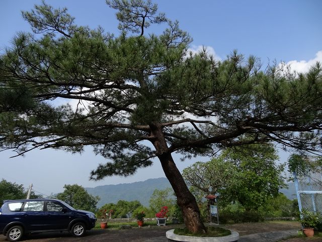 親子旅遊-士文部落