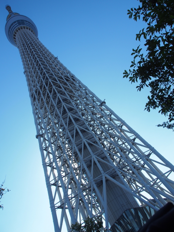 遲來的東京自助五日遊照片分享 (E-P5,E-PL2) 圖小多