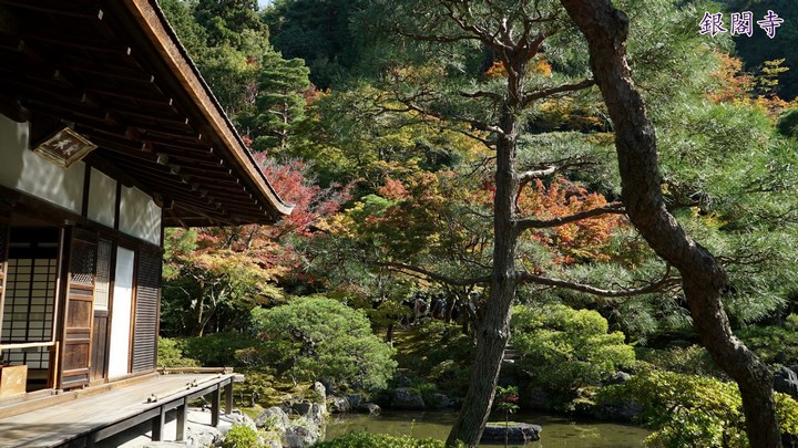 第一次京都、奈良行