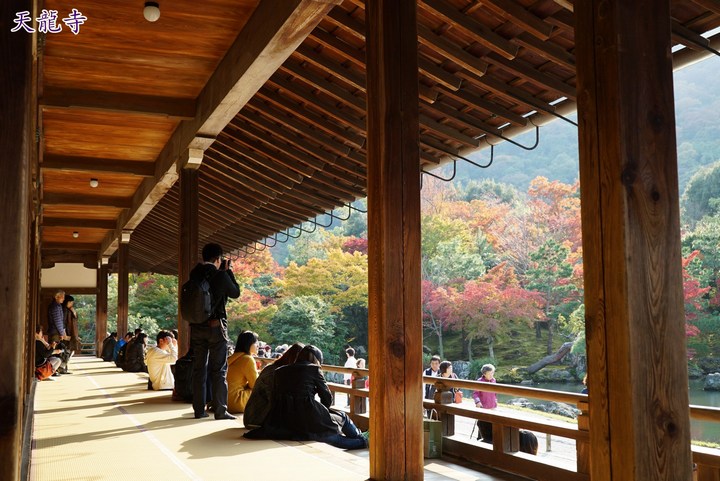 第一次京都、奈良行