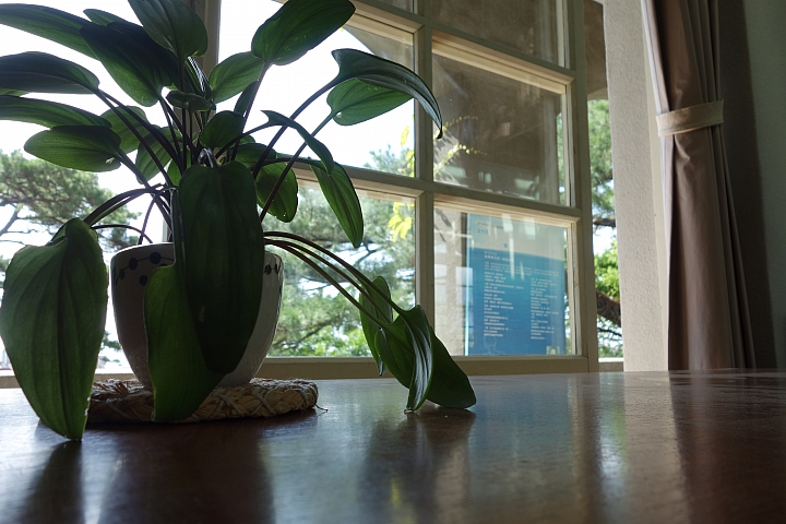 八天七夜四極點環島之旅