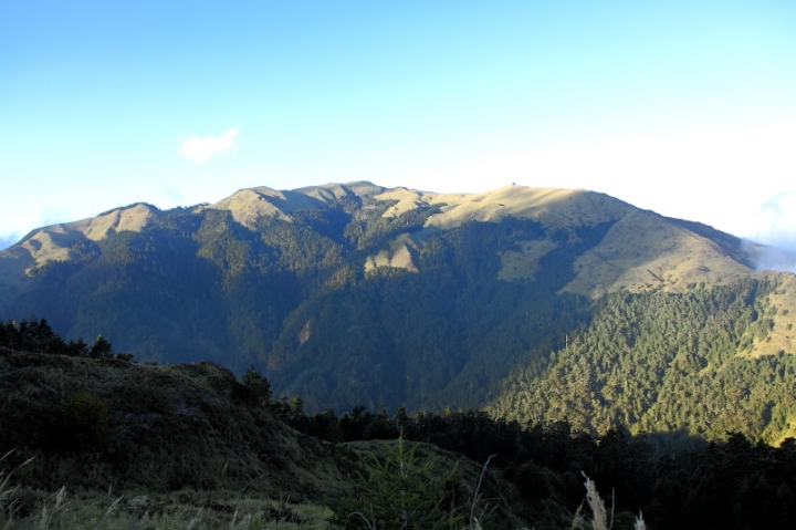 純分享~ 武陵銀杏、福壽楓紅、合歡山景