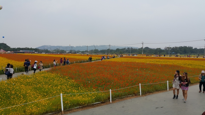 2014 (NOTE4) 新社花海新手拍拍