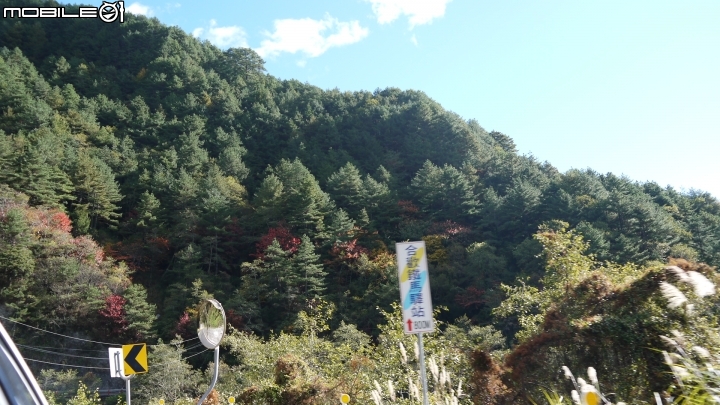 中橫楓紅實況分享