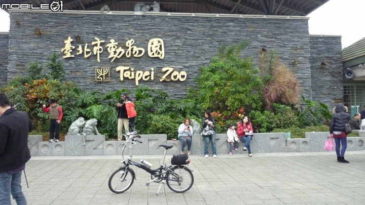 騎七速小折上貓空加碼逆騎阿柔洋