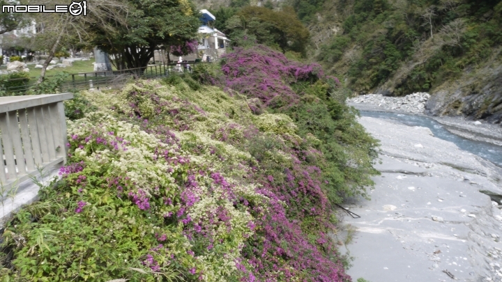 花蓮天祥散步遊