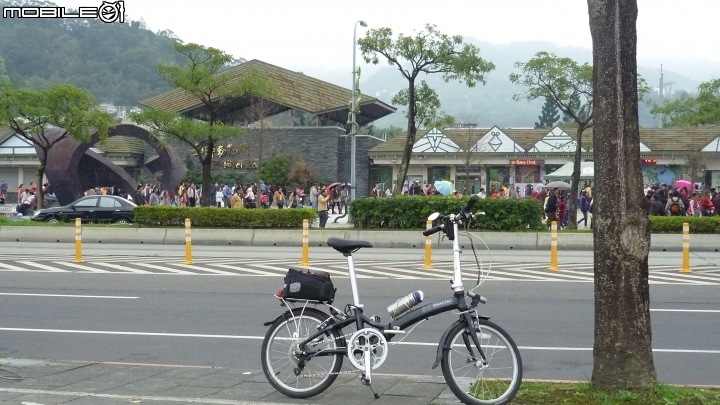 騎七速小折上貓空加碼逆騎阿柔洋