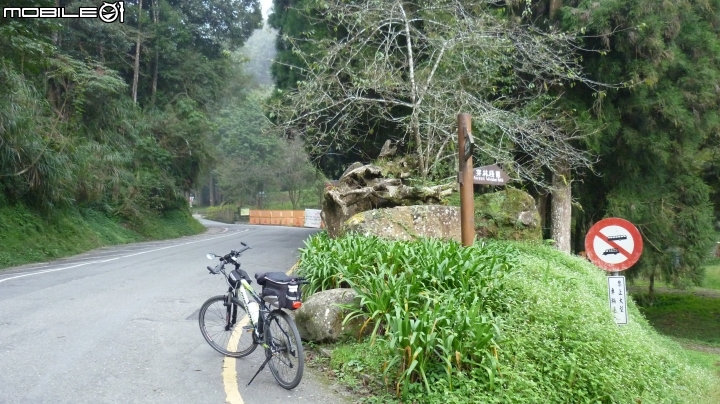 2013.10.15 杉林溪初體驗!