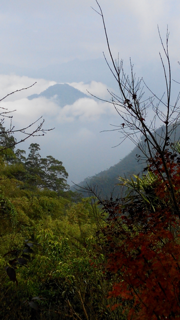 請教這是哪座山