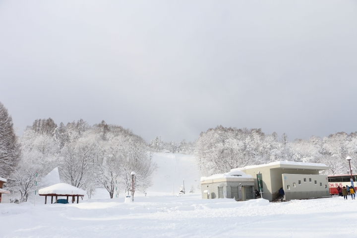 70D簡易開箱及北海道之旅使用心得