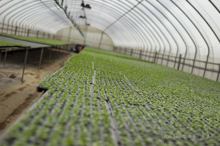 Sigma 35 1.4帶回家囉!