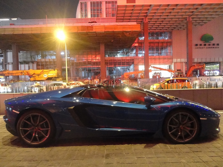 年關將近 神獸出沒