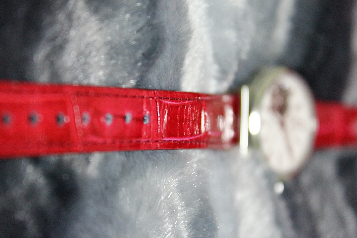 SEIKO(SSA213J1)(SSA895J1)開箱 圖多