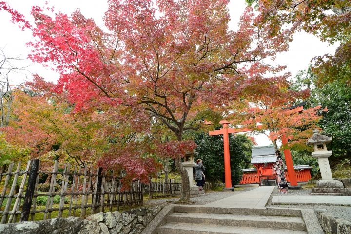 2014 京都-楓[圖多]