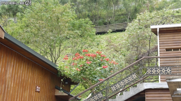 花蓮 布洛灣散步遊