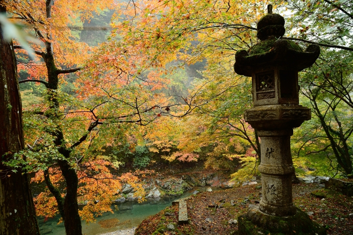 2014 京都-楓[圖多]