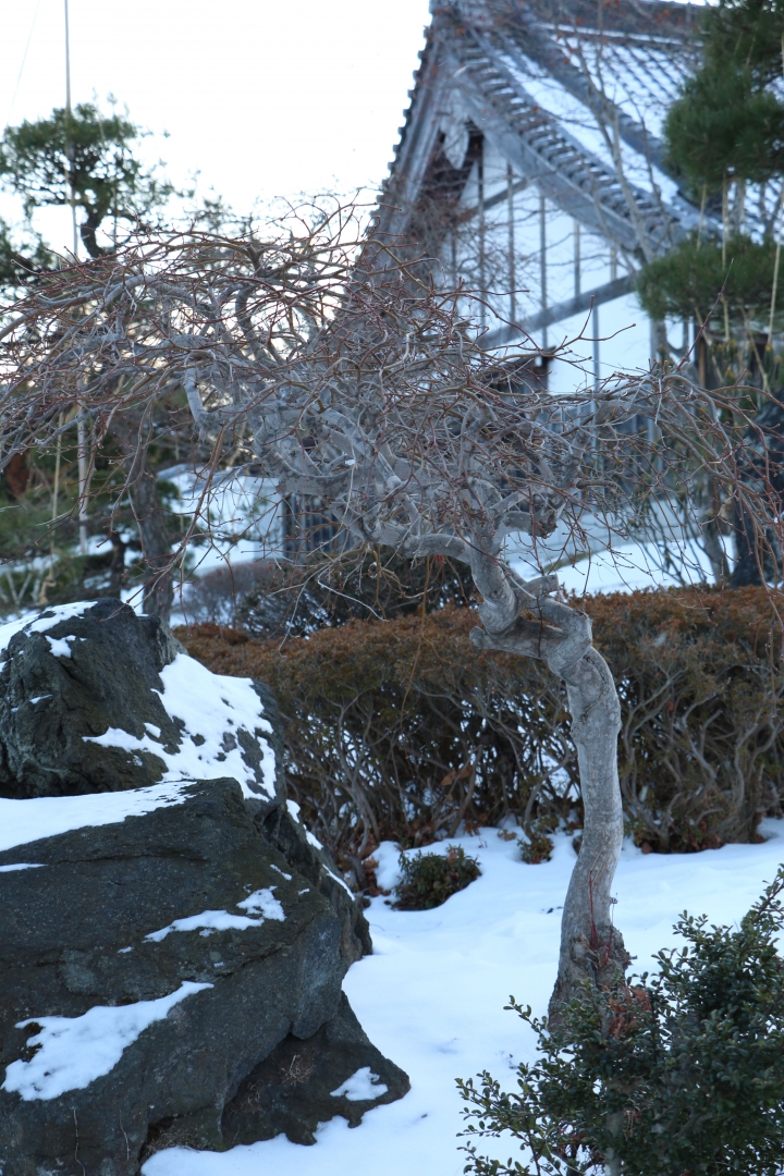 70D簡易開箱及北海道之旅使用心得