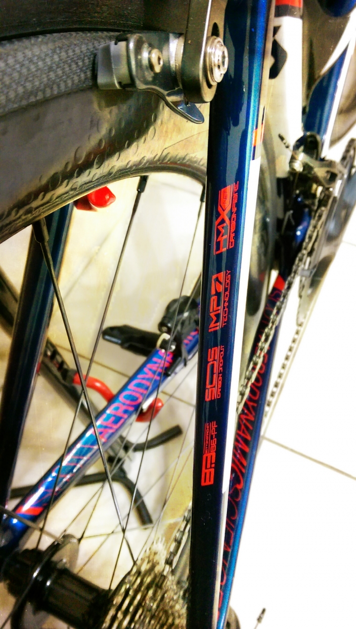 2015 SCOTT Foil Team Issue~入手分享