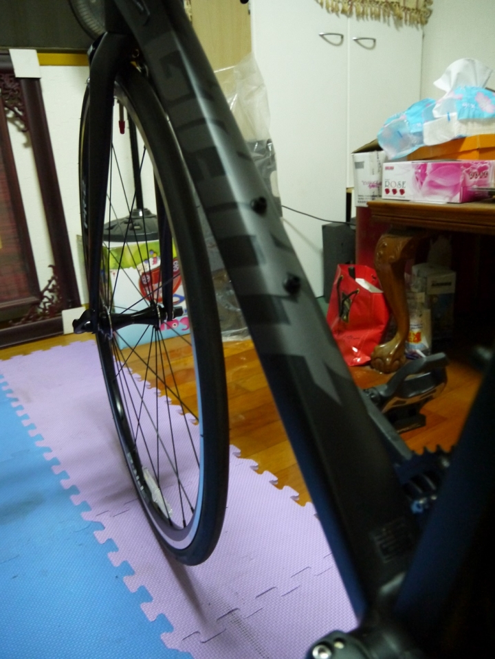 2015 tcr slr 入手囉