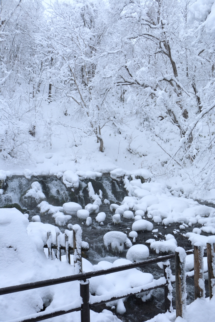 70D簡易開箱及北海道之旅使用心得