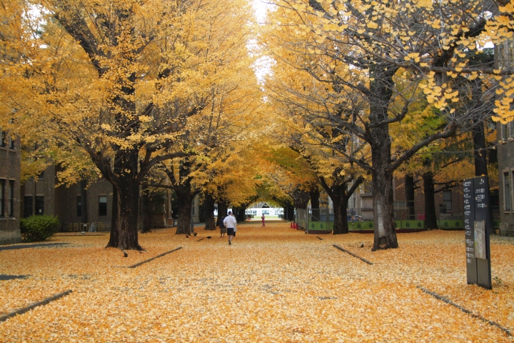東大校園
