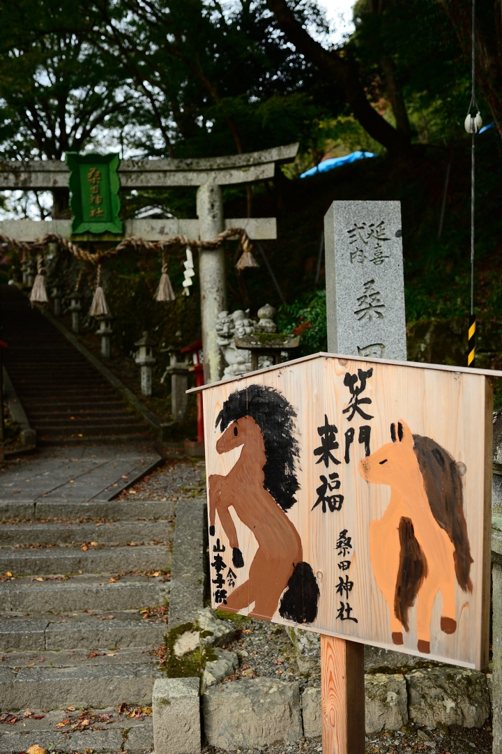 2014 京都-楓[圖多]