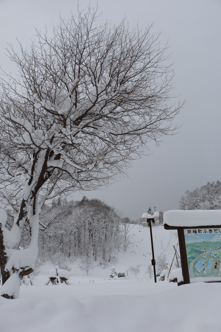 70D簡易開箱及北海道之旅使用心得