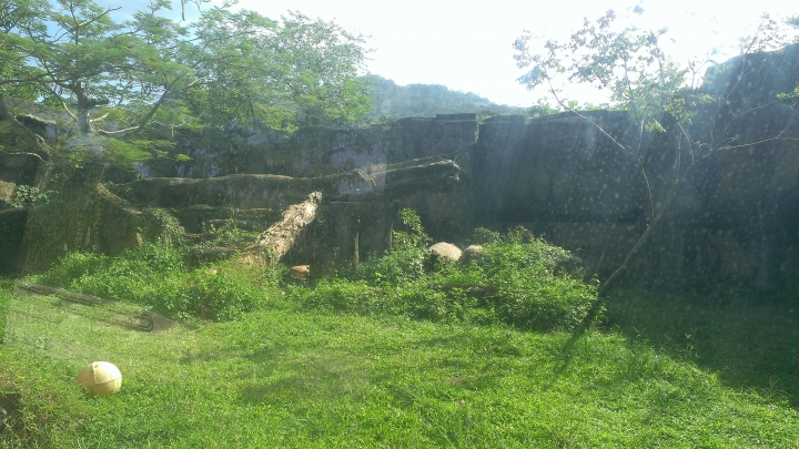 福特意圖想讓人把車子開回家之Fiesta 24小時試駕