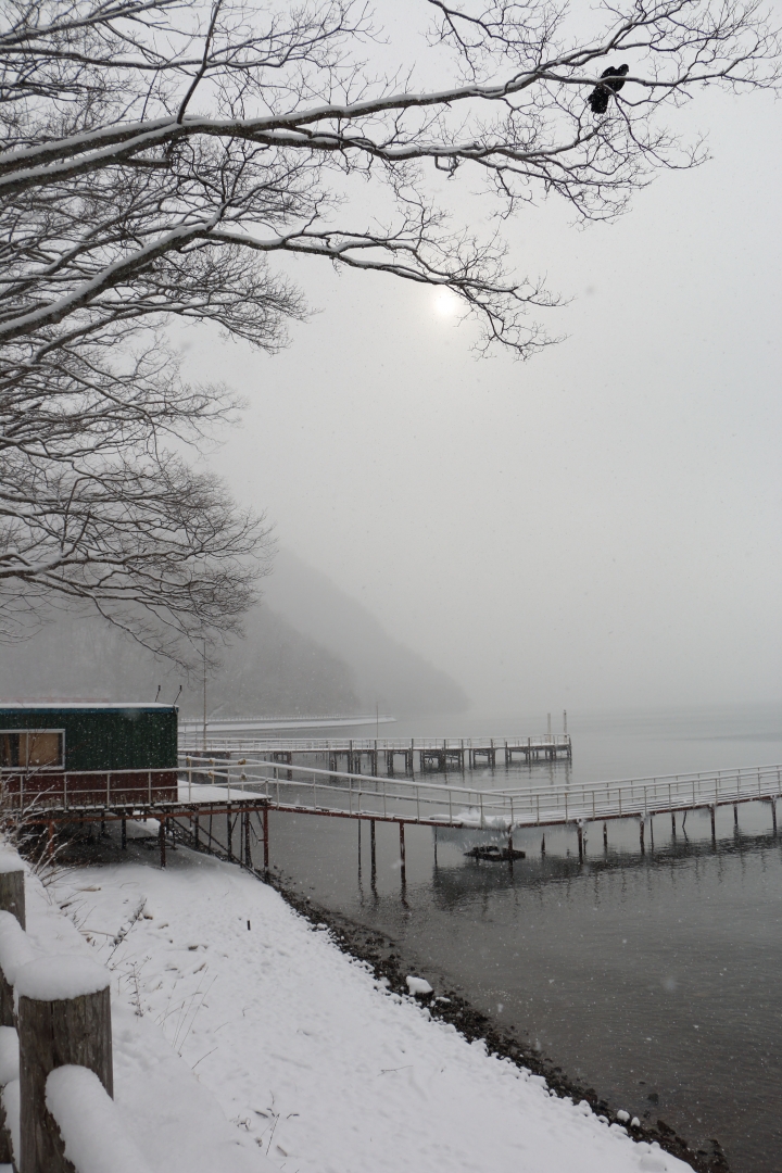 70D簡易開箱及北海道之旅使用心得
