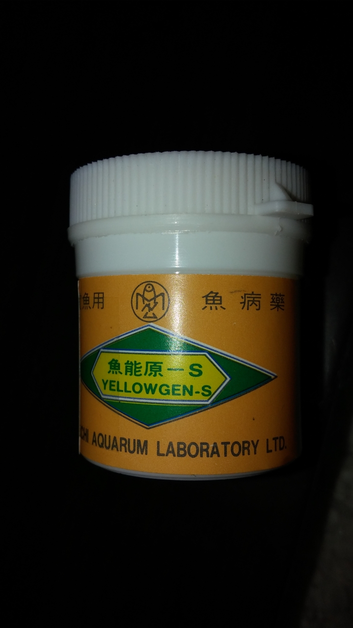 我的金魚翻肚，一直翻不過來(生病了，救命啊)