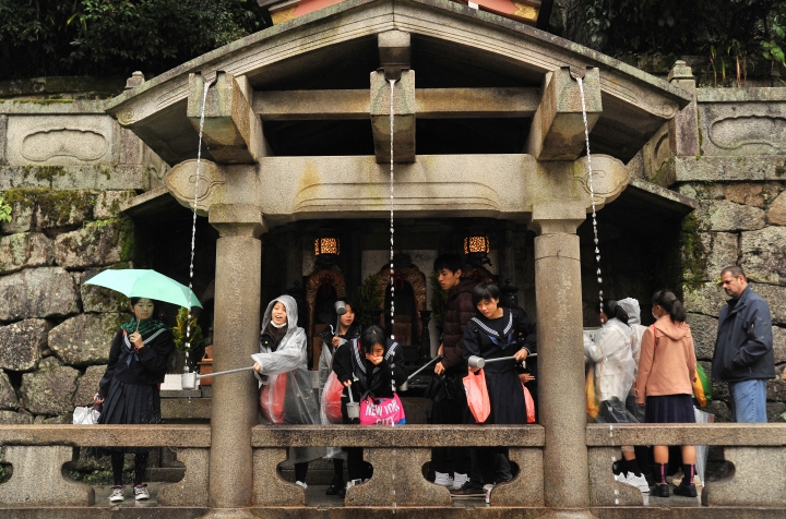日本京都,大阪,奈良自由行小小分享(NIKON D700)