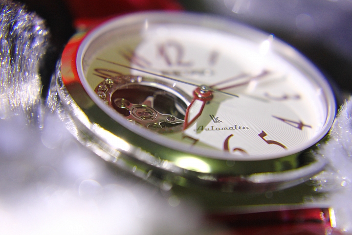 SEIKO(SSA213J1)(SSA895J1)開箱 圖多