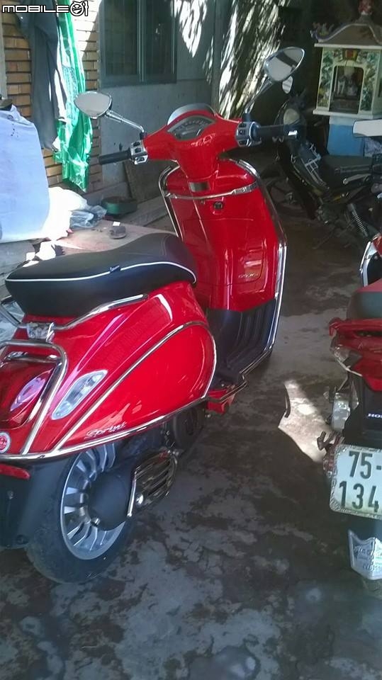 有關VESPA 春天&衝刺 的保桿..