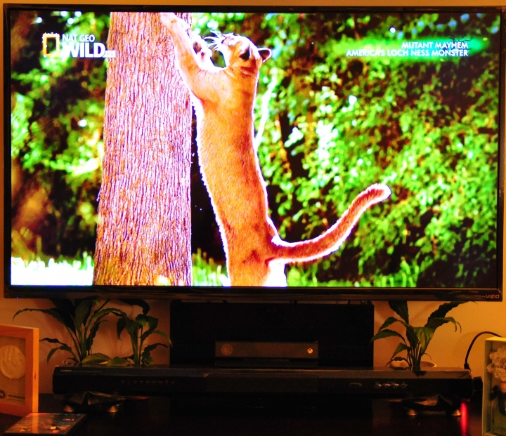 [開箱] 瑞旭 WUSH另一機型 VIZIO V55E3D不專業開箱