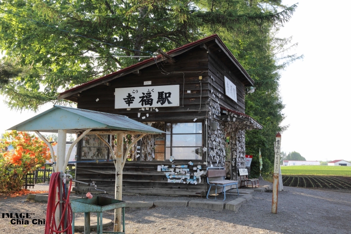 新手canon500D戀人的聖地:從愛國走向幸福