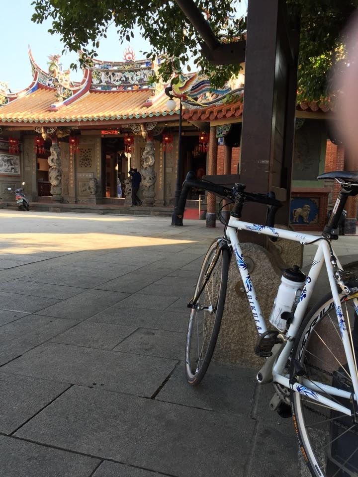 竹北後山 ~ 家鄉茶園開滿花