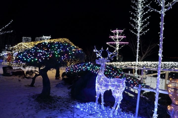 70D簡易開箱及北海道之旅使用心得