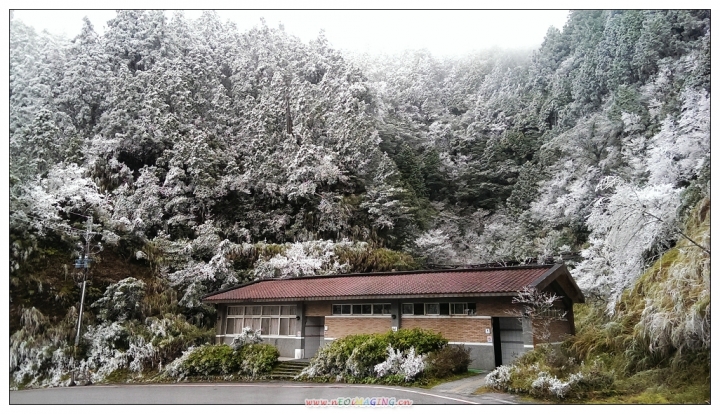 太平山國家森林遊樂區 冬季雪景旅遊