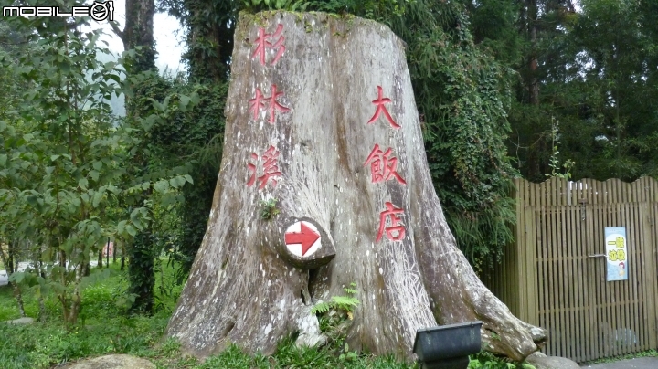 2013.10.15 杉林溪初體驗!