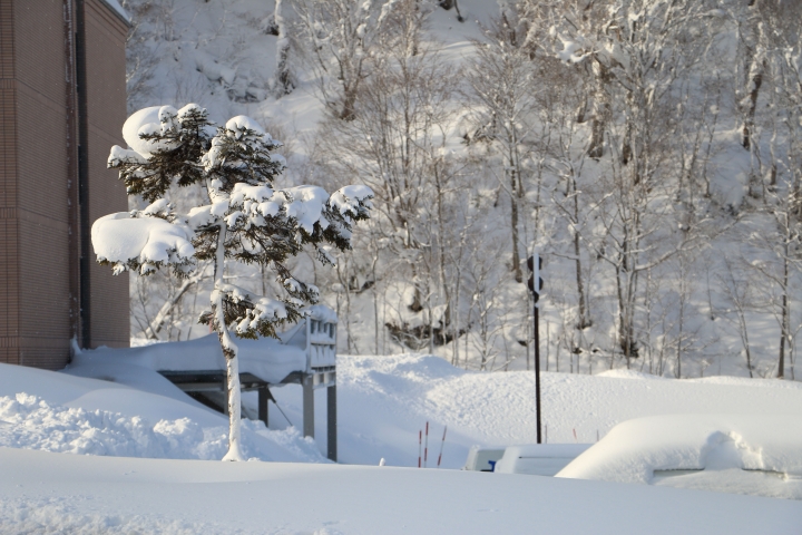 70D簡易開箱及北海道之旅使用心得