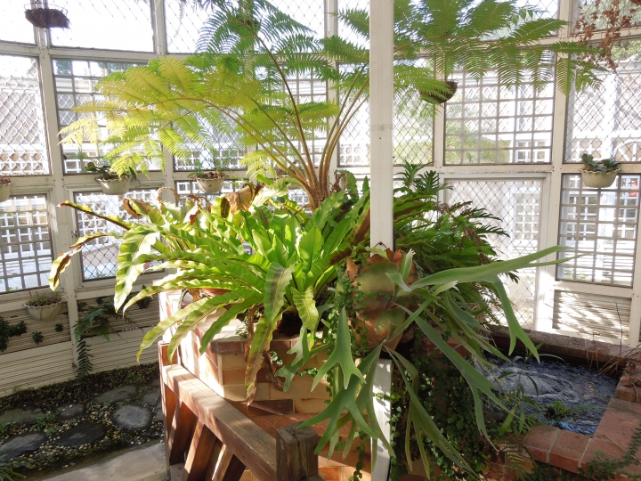 新北的幾個都會區內的小公園賞花行