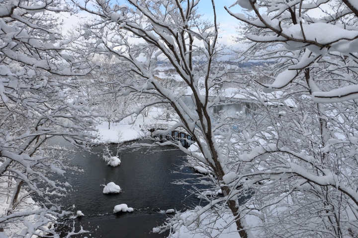 70D簡易開箱及北海道之旅使用心得