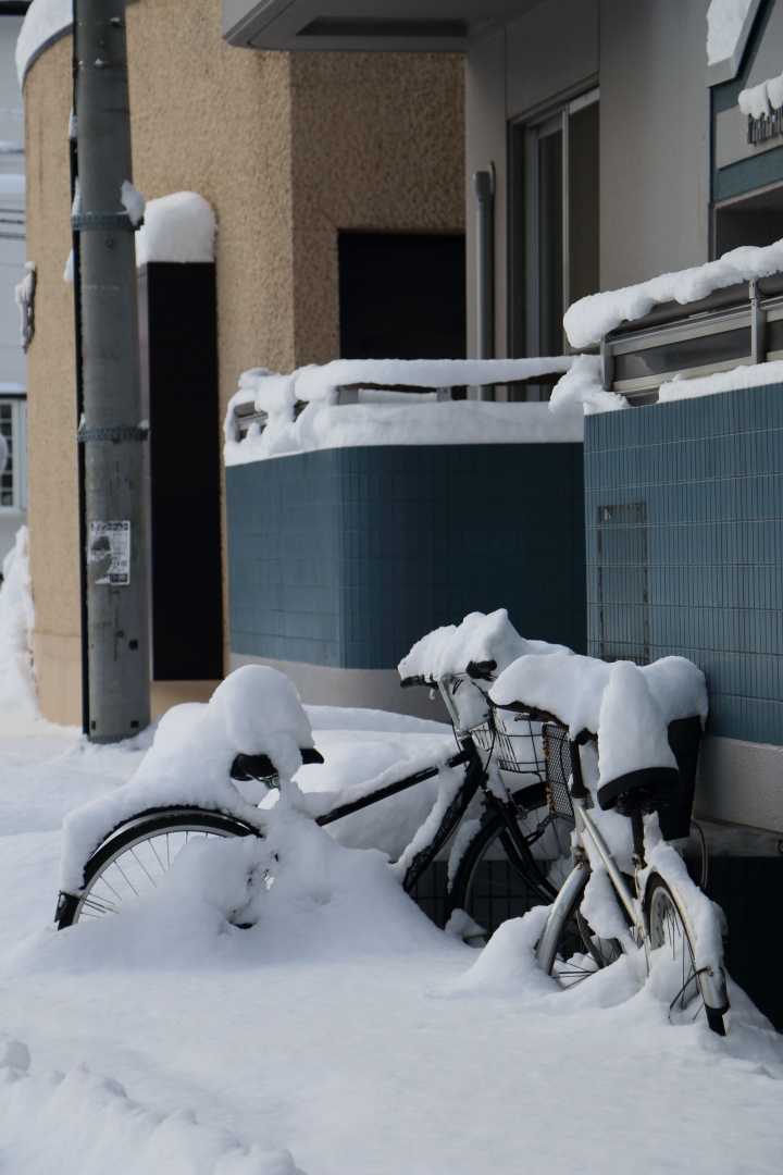 70D簡易開箱及北海道之旅使用心得